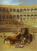 death of the picador